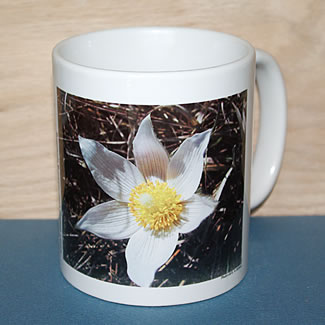 mug DS-046 6745.jpg